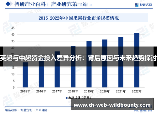 英超与中超资金投入差异分析：背后原因与未来趋势探讨